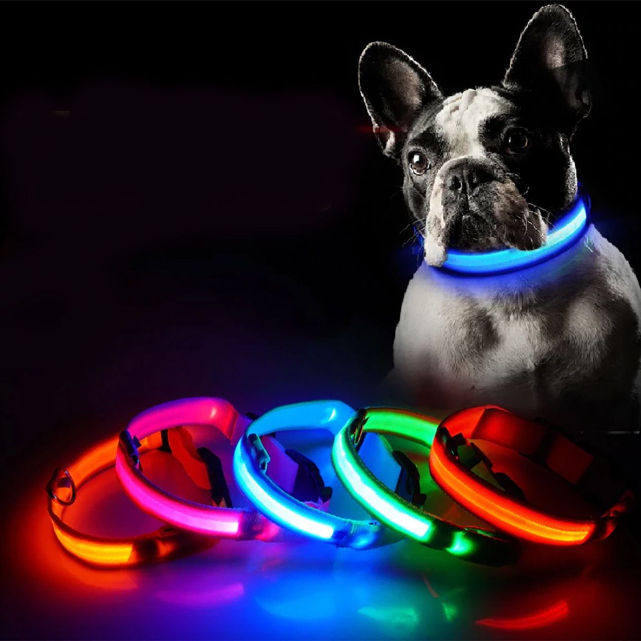 LED Hundehalsbånd main image
